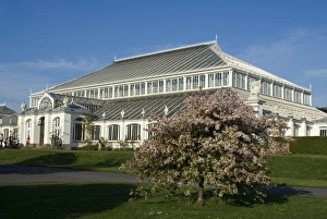 Images Dated 18th April 2009: Temperate House, Royal Botanic Gardens (Kew Gardens), UNESCO World Heritage Site