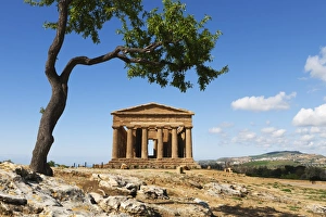 Images Dated 9th March 2008: Tempio di Concordia (Concord) and almond tree, Valle dei Templi, UNESCO World Heritage Site