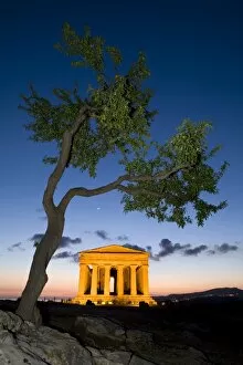 Tempio di Concordia (Concord) and Almond tree at dusk, Valle dei Templi