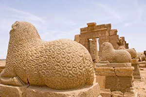 Images Dated 16th September 2005: Temple of Amon, Old Temple of Naga, The Kingdom of Meroe, Sudan, Africa
