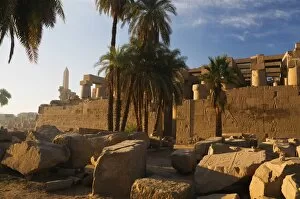Images Dated 10th February 2008: Temple of Amun at Karnak, Thebes, UNESCO World Heritage Site, Egypt, North Africa, Africa