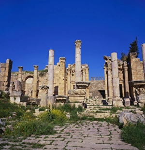 Overgrown Prints: Temple of Artemis, Jerash, Jordan, Middle East