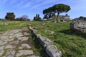 Paestum Prints: Temple of Athena (Temple of Ceres), Paestum, Greek ruins, UNESCO World Heritage Site