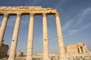 Syrian Prints: Temple of Bel