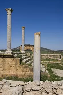 Images Dated 23rd March 2008: Temple of Caelestis, Roman ruin of Thuburbo Majus, Tunisia. North Africa, Africa