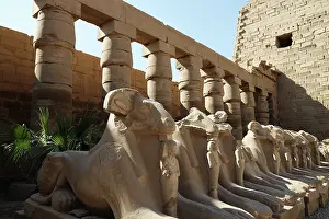 Pillars Prints: Temple details at Karnak, UNESCO World Heritage Site, Luxor, Egypt