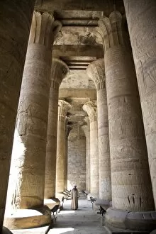 Images Dated 26th February 2007: The Temple of Edfu, Egypt, North Africa, Africa