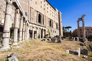 Temple of Harmonious Gods, Roman Forum, UNESCO World Heritage Site, Rome, Lazio, Italy