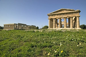 Poseidon Prints: Temple of Hera (Basilica) left