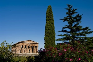 Images Dated 28th September 2008: Temple of Hera (Basilica), ruins of Paestum, UNESCO World Heritage Site