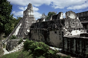 Guantamala Prints: Temple I, Tikal
