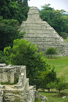 Primitive Prints: Temple of the Inscriptions (Mayan)
