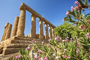 Botanical Prints: The Temple of Juno, a Greek temple of the ancient city of Akragas located in the Valle dei Templi