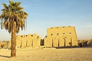 Images Dated 9th February 2009: Temple of Karnak, Thebes, UNESCO World Heritage Site, Egypt, North Africa, Africa
