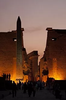Images Dated 8th February 2009: Temple at Luxor, Thebes, UNESCO World Heritage Site, Egypt, North Africa, Africa