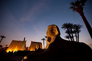 Images Dated 8th February 2009: Temple at Luxor, Thebes, UNESCO World Heritage Site, Egypt, North Africa, Africa
