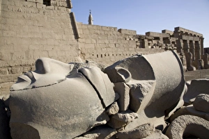 Images Dated 1st March 2007: The Temple of Luxor, Thebes, UNESCO World Heritage Site, Egypt, North Africa, Africa