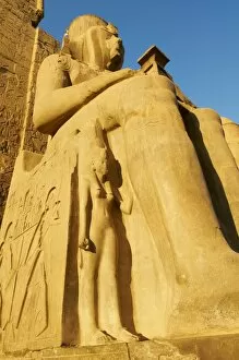 Images Dated 11th December 2011: Temple of Luxor, Thebes, UNESCO World Heritage Site, Egypt, North Africa, Africa
