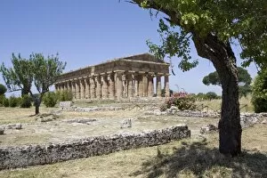 Images Dated 11th June 2009: The Temple of Neptune, Paestum, UNESCO World Heritage Site, Campania, Italy, Europe