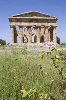 Images Dated 11th June 2009: Temple of Neptune, Paestum, UNESCO World Heritage Site, Campania, Italy, Europe