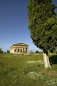 Temple of Poseidon (Neptune)