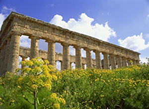 Segesta Prints: Temple of Segesta, dating from between 420 and 430 BC, near Catalfimi, Alcamo
