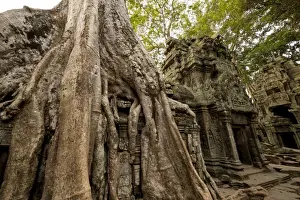 Temple of Ta Prohm, Angkor, UNESCO World Heritage Site, Siem Reap, Cambodia, Indochina, Southeast Asia, Asia