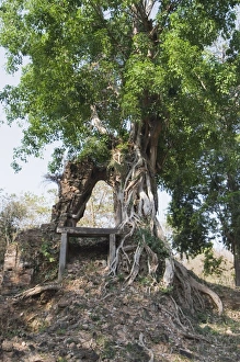Images Dated 14th January 2008: Temples in the ancient pre Angkor capital of Chenla, Cambodia, Indochina