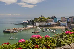 Tenby Harbour, Pembrokeshire, Wales, United Kingdom, Europe