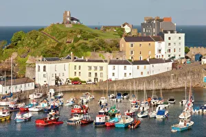 Pembrokeshire Prints: Tenby Harbour, Tenby, Pembrokeshire, Wales, United Kingdom, Europe