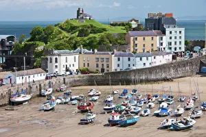 Low Tide Prints: Tenby Harbour, Tenby, Pembrokeshire, Wales, United Kingdom, Europe