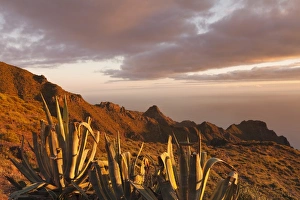 Mountain Ridge Prints: Teno Mountains at sunset, Tenerife, Canary Islands, Spain, Europe