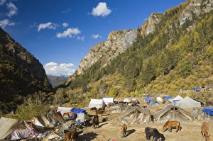 Bivouac Prints: Tent camp, Yading Nature Reserve, Sichuan Province, China, Asia