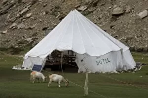 Images Dated 10th August 2008: Tent hotel, Tsomori, Ladakh, India, Asia