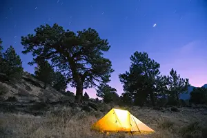 Tent illuminated under the night sky, Rocky Mountain National Park, Colorado