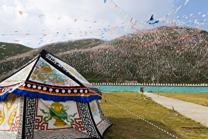 Bivouac Prints: Tent and thousands of prayer flags, Tagong Grasslands, Sichuan, China, Asia
