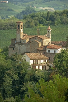 Piemonte Prints: Tenuta la Volta