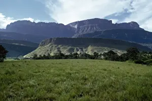 Venezuela Prints: Tepuis showing south side of Auyantepui (Auyantepuy) (Devils Mountain) from Uruyen valley