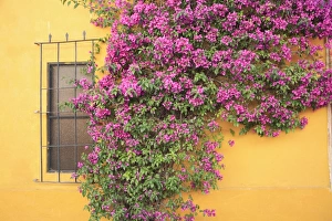 Images Dated 29th March 2009: Tequisquipan, Queretaro state, Mexico, North America