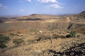 Hill Range Prints: Terari Wenz region, Wollo province, Ethiopia, Africa