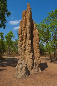 Images Dated 28th September 2008: Termite mound in the Litchfield National Park, Northern Territory, Australia, Pacific