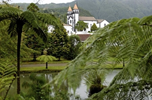 Images Dated 16th October 2006: Terra Nostra Garden, Furnas, Sao Miguel Island, Azores, Portugal, Europe