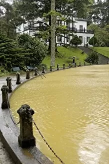 Images Dated 16th October 2006: Terra Nostra Garden, Furnas, Sao Miguel Island, Azores, Portugal, Europe