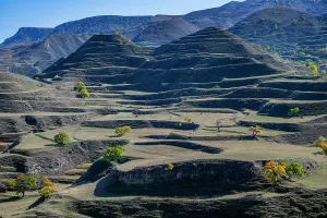 Terrace Prints: Terrace fields with autumn trees in Dagestan