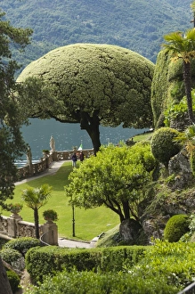 Topiary Prints: Terrace with giant topiary, Villa Barbonella, Lake Como, Lombardy, Italy, Europe