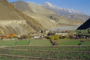 Terrace Prints: Terraced field and KaGBeni village
