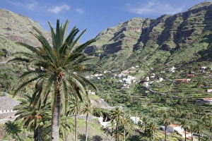 La Gomera Prints: Terraced fields, Valle Gran Rey, La Gomera, Canary Islands, Spain, Europe