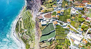 Terraces Prints: Terraced green fields by the turquoise ocean from above, Camara de Lobos, Madeira island
