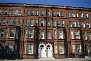 Chelsea Prints: Terraced houses on Oakley Road, Chelsea, London, England, United Kingdom, Europe