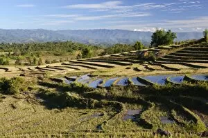 Terraced Collection: Terraced rice fields and Shan hills, near Kengtung, Shan State, Myanmar (Burma), Asia